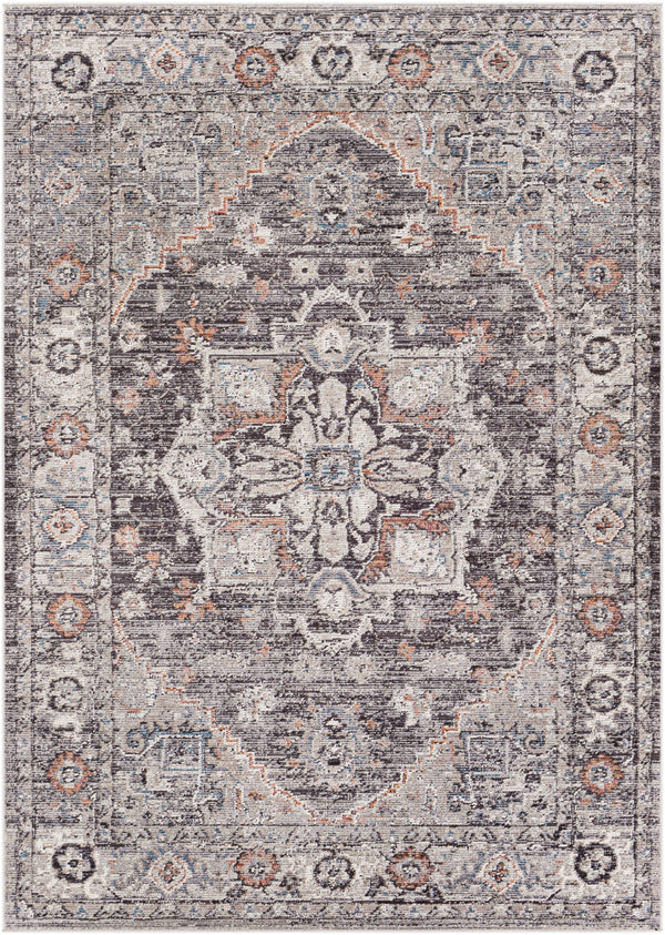 Daytona Beach DYT-2311 Traditional Polyester, Polypropylene Rug DYT2311-81012 Light Gray, Charcoal, Medium Gray, Burnt Orange, Beige, Cream, Sky Blue, Wheat, Taupe, Rose 92% Polyester, 8% Polypropylene 8'10" x 12'