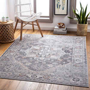 Daytona Beach DYT-2311 Traditional Polyester, Polypropylene Rug DYT2311-81012 Light Gray, Charcoal, Medium Gray, Burnt Orange, Beige, Cream, Sky Blue, Wheat, Taupe, Rose 92% Polyester, 8% Polypropylene 8'10" x 12'