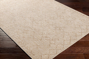 Surya Eagean Global EAG-2404 Rug EAG2404-710SQ