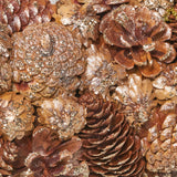 18.5" Pine Cone and Glitter Unlit Artificial Christmas Wreath, Champagne