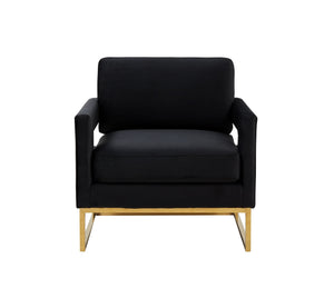 VIG Furniture Modrest Edna - Modern Black Velvet & Gold Accent Chair VGRHRHS-AC-201-BLK