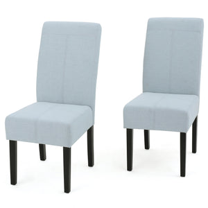 Noble House Pertica Light Sky Fabric Dining Chairs (Set of 2)