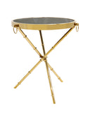 Pasargad Vicenza Collection Steel & Glass Side Table, Gold AR-Z0189GL-PASARGAD