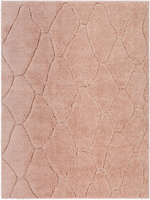 Elenor ENR-2305 Modern Polyester Rug ENR2305-71010 Blush 100% Polyester 7'10" x 10'