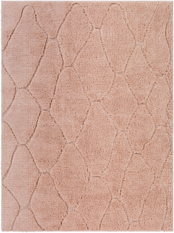Elenor ENR-2305 Modern Polyester Rug ENR2305-71010 Blush 100% Polyester 7'10" x 10'
