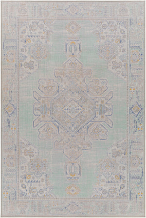 Surya Rafetus Traditional ETS-2364 Rug ETS2364-710102