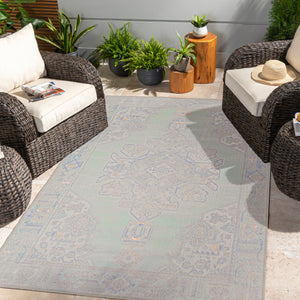 Surya Rafetus Traditional ETS-2364 Rug ETS2364-710102