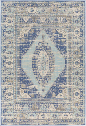 Surya Rafetus Traditional ETS-2371 Rug ETS2371-710102