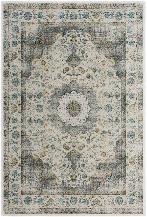 Safavieh Evoke 220 Power Loomed 100% Polypropylene Pile Rug EVK220B-5SQ