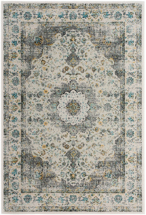 Safavieh Evoke 220 Power Loomed 100% Polypropylene Pile Rug EVK220B-5SQ