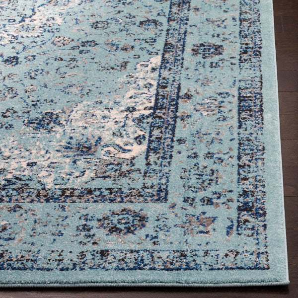 Safavieh Evoke EVK220 Power Loomed Rug