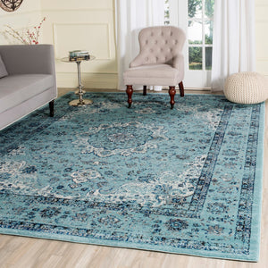 Safavieh Evoke EVK220 Power Loomed Rug