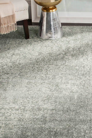 Safavieh Evoke EVK256 Power Loomed Rug