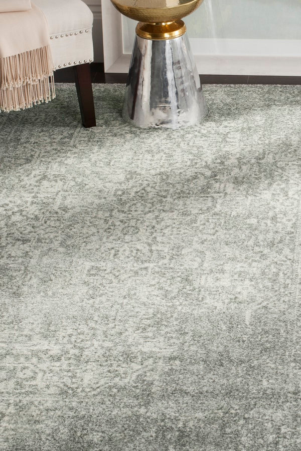 Safavieh Evoke EVK256 Power Loomed Rug