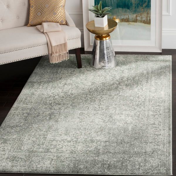 Safavieh Evoke EVK256 Power Loomed Rug