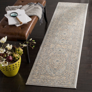 Safavieh Evoke EVK518 Power Loomed Rug