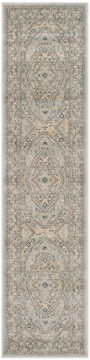 Safavieh Evoke EVK518 Power Loomed Rug