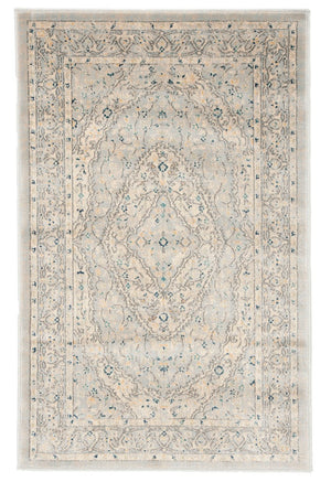 Safavieh Evoke EVK518 Power Loomed Rug