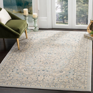 Safavieh Evoke EVK518 Power Loomed Rug