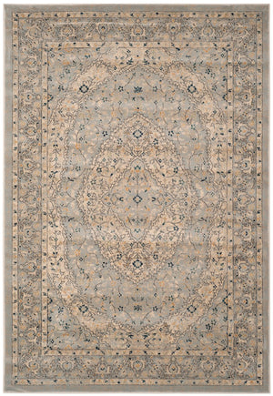 Safavieh Evoke EVK518 Power Loomed Rug