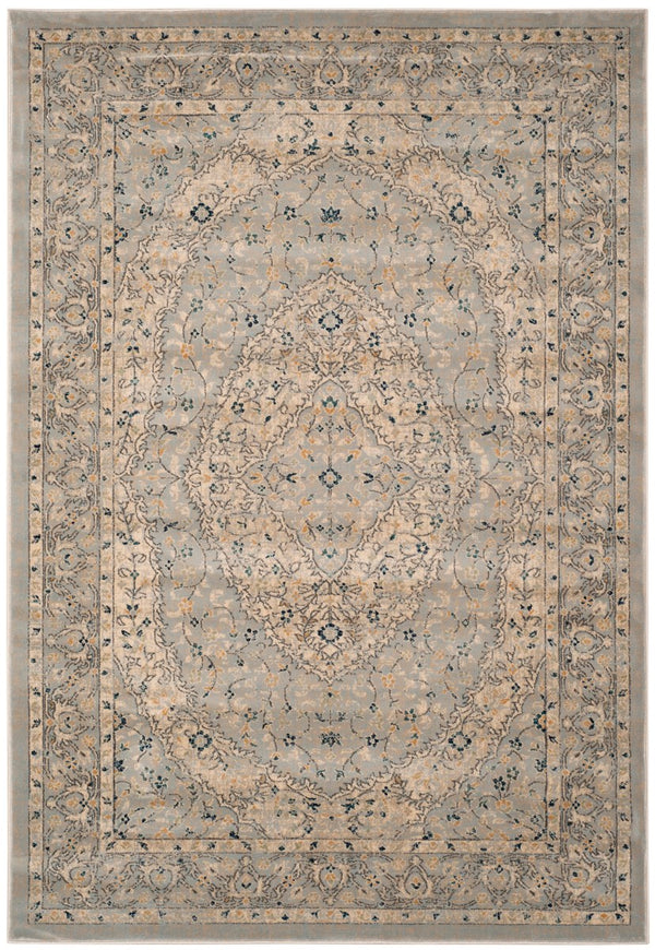 Safavieh Evoke EVK518 Power Loomed Rug