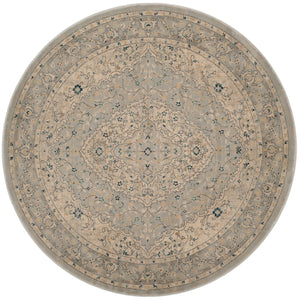 Safavieh Evoke EVK518 Power Loomed Rug