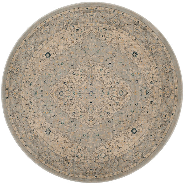 Safavieh Evoke EVK518 Power Loomed Rug