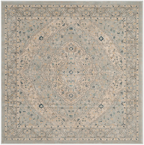Safavieh Evoke EVK518 Power Loomed Rug