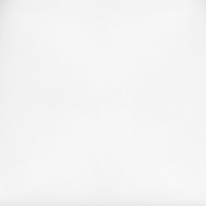 Zuo Modern Elio 100% Leather, Foam Modern Commercial Grade Cushions White 100% Leather, Foam