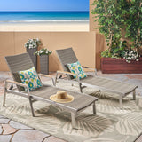 Oxton Outdoor Wicker and Aluminum Chaise Lounges, Gray Finish Noble House