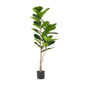 Socorro 5' x 2' Artificial Fiddle-Leaf Fig Tree, Green Noble House