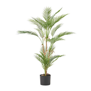 Troup 5.5' x 3.5' Artificial Palm Tree, Green Noble House