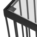 Ismay Contemporary Handcrafted Cage Side Table with Glass Top, Black and Clear Noble House