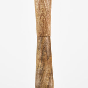 Safavieh Brodie Floor Lamp Natural Wood FLL2002A