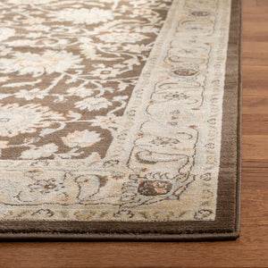 Safavieh Florenteen Flr125 251 Power Loomed Rug