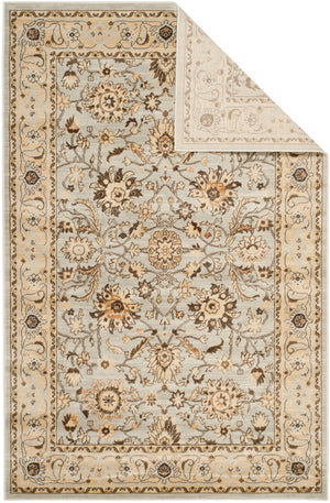Safavieh Florenteen Flr125 251 Power Loomed Rug