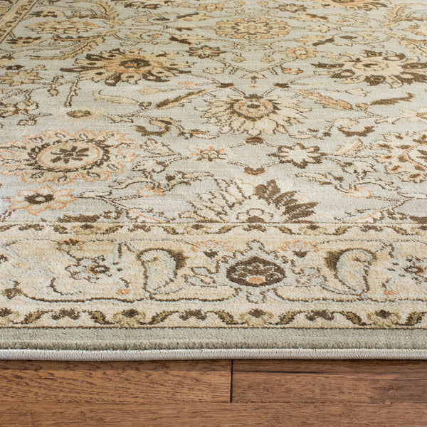 Safavieh Florenteen Flr125 128 Power Loomed Rug