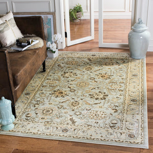 Safavieh Florenteen Flr125 251 Power Loomed Rug