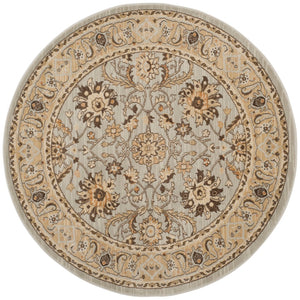 Safavieh Florenteen Flr125 251 Power Loomed Rug