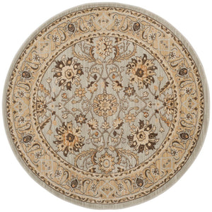 Safavieh Florenteen Flr125 128 Power Loomed Rug