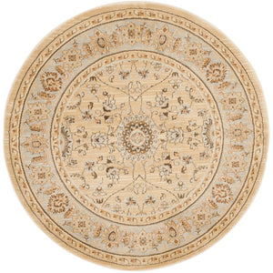 Safavieh Florenteen Flr127 251 Power Loomed Rug