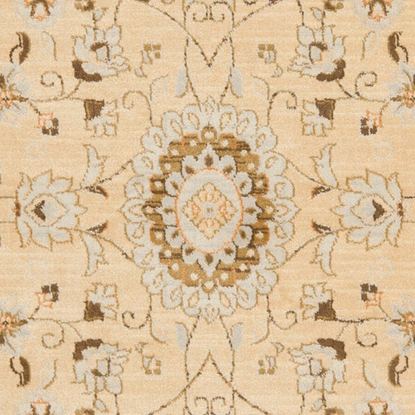 Safavieh Florenteen Flr127 251 Power Loomed Rug