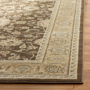 Safavieh Florenteen Flr127 251 Power Loomed Rug