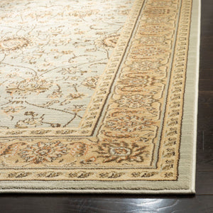 Safavieh Florenteen Flr127 251 Power Loomed Rug