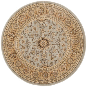 Safavieh Florenteen Flr127 251 Power Loomed Rug