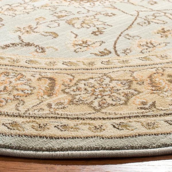 Safavieh Florenteen Flr127 251 Power Loomed Rug
