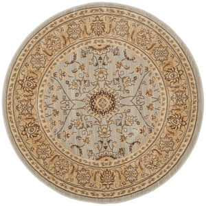 Safavieh Florenteen Flr127 251 Power Loomed Rug