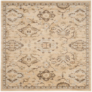 Safavieh Florenteen Flr128 801 Power Loomed Rug