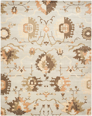 Safavieh Florenteen Flr129 122 Power Loomed Rug