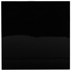 Safavieh Malone Coffee Table Chrome High Gloss Black Wood MDF Iron FOX2214B 889048187764